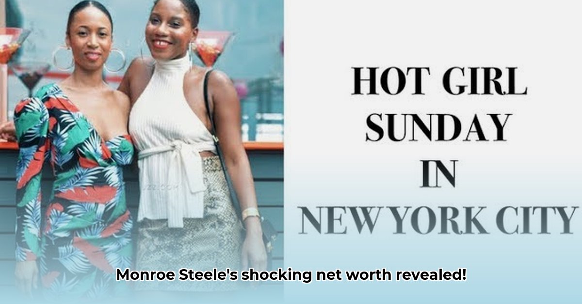 monroe-steele-net-worth